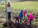 Pflanzaktion in Neustadt (Foto: Anett Papke)