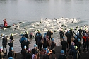 Triathlon-Wochenende in Nordhausen  (Foto: Uwe Tittel)