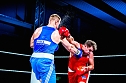 Nordh&auml;user Boxer holen wieder den Meistertitel (Foto: Johann Reinhardt)
