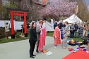 Impressionen vom Kirschbl&uuml;tenfest 2022 (Foto: oas)