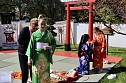Impressionen vom Hanami 2023 in Bad Langensalza (Foto: osch/emw)