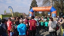 Impressionen vom 19. R&ouml;blinglauf (Foto: M.Fromm)
