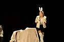 Theatergruppe des Salza-Gymnasiums feierte umjubelte Premiere mit ihren St&uuml;ck Alice im ANDERLAND, frei nach Lewis Carrol. (Foto: Eva Maria Wiegand)