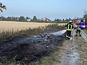 Fl&auml;chenbrand am Abend (Foto: Feuerwehr Bad Langensalza)