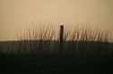 Sonnenuntergang - fotografiert vom Hainer Berg (Foto: Christoph Keil)