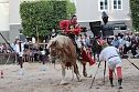 Hochprofessionelle Reitershow mit "Wenzel Ritterspiele" (Foto: Eva Maria Wiegand)