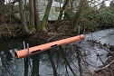 Biberbau-Drainage in der Salza (Foto: agl)