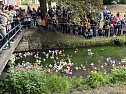 Menschen und Enten am und im Wasser (Foto: oas)