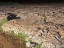 Unwetter-Einsatz im Unstrut-Hainich-Kreis (Foto: Feuerwehr Obermehler)