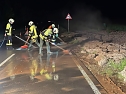 Unwetter-Einsatz im Unstrut-Hainich-Kreis (Foto: Feuerwehr Obermehler)