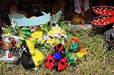 Entenrennen Bad Langensalza 2026 (Foto: Eva Maria Wiegand)