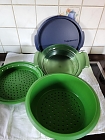 Tupper Dampfgarer f&uuml;r die Mikrowelle 