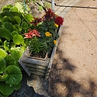 Blumenkasten