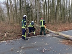 Bilder vom Unfallort 2020 (Foto: Feuerwehr Bad Langensalza/SD)