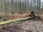 Bilder vom Unfallort 2020 (Foto: Feuerwehr Bad Langensalza/SD)