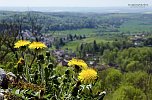 Unterwegs im Naturpark S&uuml;dharz (Foto: Christian Schelauske)