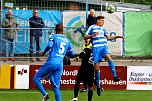 Drei Punkte gegen Halberstadt (Foto: Bernd Peter)