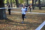 Stadtparklauf in Sondershausen (2) (Foto: Karl-Heinz Herrmann)