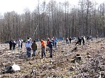 Aktion im M&uuml;hlh&auml;user Stadtwald (Foto: SDW Th&uuml;ringen)