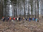 Aktion im M&uuml;hlh&auml;user Stadtwald (Foto: SDW Th&uuml;ringen)