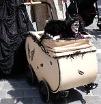 Mal wieder verkleiden (Foto: Peter Blei)