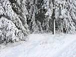 Winterliche Harzimpressionen (Foto: P.Blei)