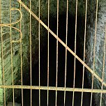 Vom M&auml;gdesprung zum Waldgagsthof (Foto: Peter Blei)