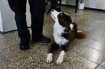 Besuch bei der Nordh&auml;user Hundestaffel (Foto: agl)