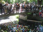 Entenrennen in Bad Langensalza (Foto: Markus Fromm)