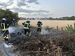 Fl&auml;chenbrand am Abend (Foto: Feuerwehr Bad Langensalza)