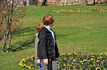 Ostern auf dem Petersberg (Foto: nnz-City Scout Sven G&auml;mkow)