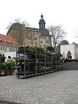 Blumen und mehr (Foto: P. Blei)