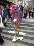 Blumen und mehr (Foto: P. Blei)