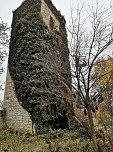 Befreiungsarbeiten am Pulverturm im Arboretum (Foto: Stadtverwaltung Bad Langensalza)