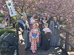 Hanami im Japanischen Garten (Foto: oas)