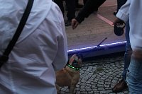 Am Zierbrunnen getanzt Bild: Am Zierbrunnen getanzt