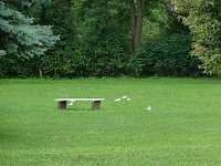 Wieder viel Engagement Bild: Wieder viel Engagement