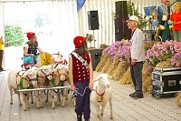 Bauernmarkt Bild: Bauernmarkt