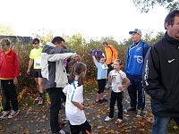 Bild: 18. Stadtparklauf