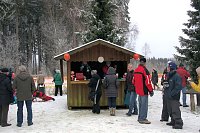 Schlittenhunderennen in Benneckenstein Bild: Schlittenhunderennen in Benneckenstein