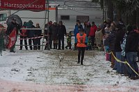 Schlittenhunderennen in Benneckenstein Bild: Schlittenhunderennen in Benneckenstein