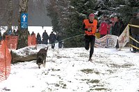 Schlittenhunderennen in Benneckenstein Bild: Schlittenhunderennen in Benneckenstein