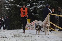 Schlittenhunderennen in Benneckenstein Bild: Schlittenhunderennen in Benneckenstein