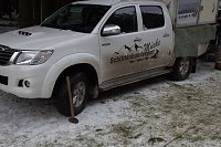 Schlittenhunderennen in Benneckenstein Bild: Schlittenhunderennen in Benneckenstein