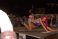 Erotik bei Wahl zum AP-Girl Bild: Erotik bei Wahl zum AP-Girl