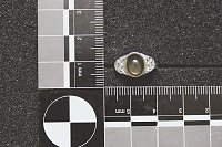 Alles geklaut - Eigentümer gesucht Bild: Alles geklaut - Eigentümer gesucht