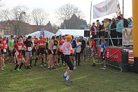 Marathonläufer unterwegs Bild: Marathonläufer unterwegs