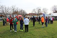 Marathonläufer unterwegs Bild: Marathonläufer unterwegs