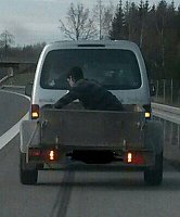 Bild: Schwanenrettung