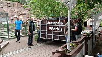 Bild: B&auml;rin Conny zieht nach Worbis